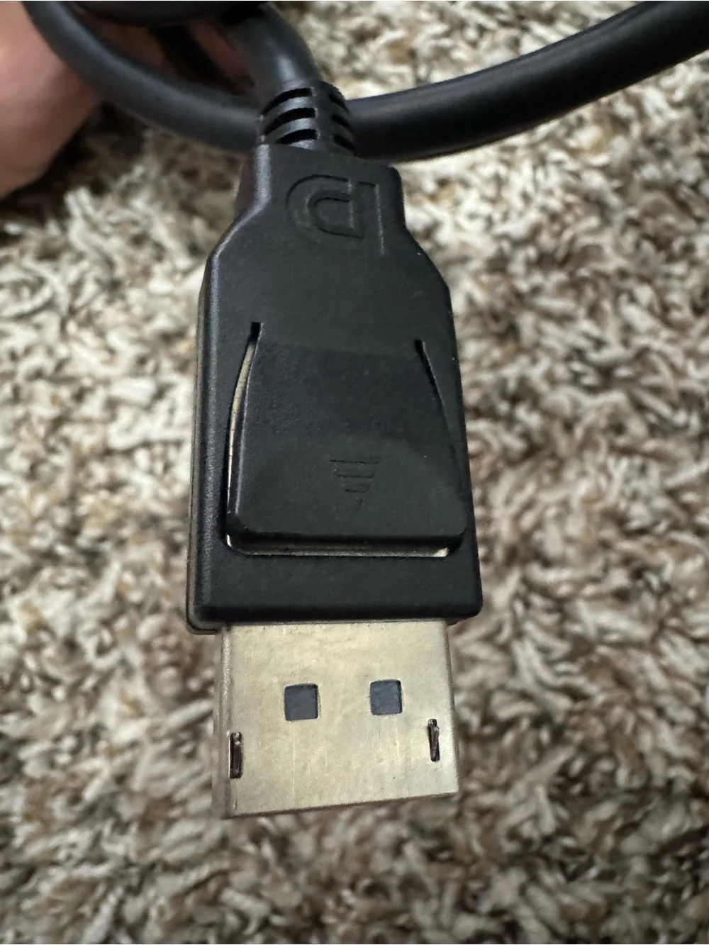 Black DisplayPort to DisplayPort Cable - High Speed Video Cable